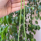 Collana con perline in 10 colori
