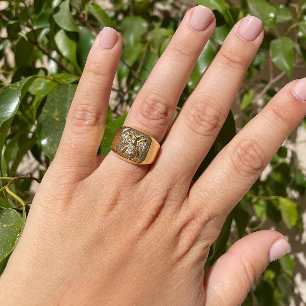 Anello ape