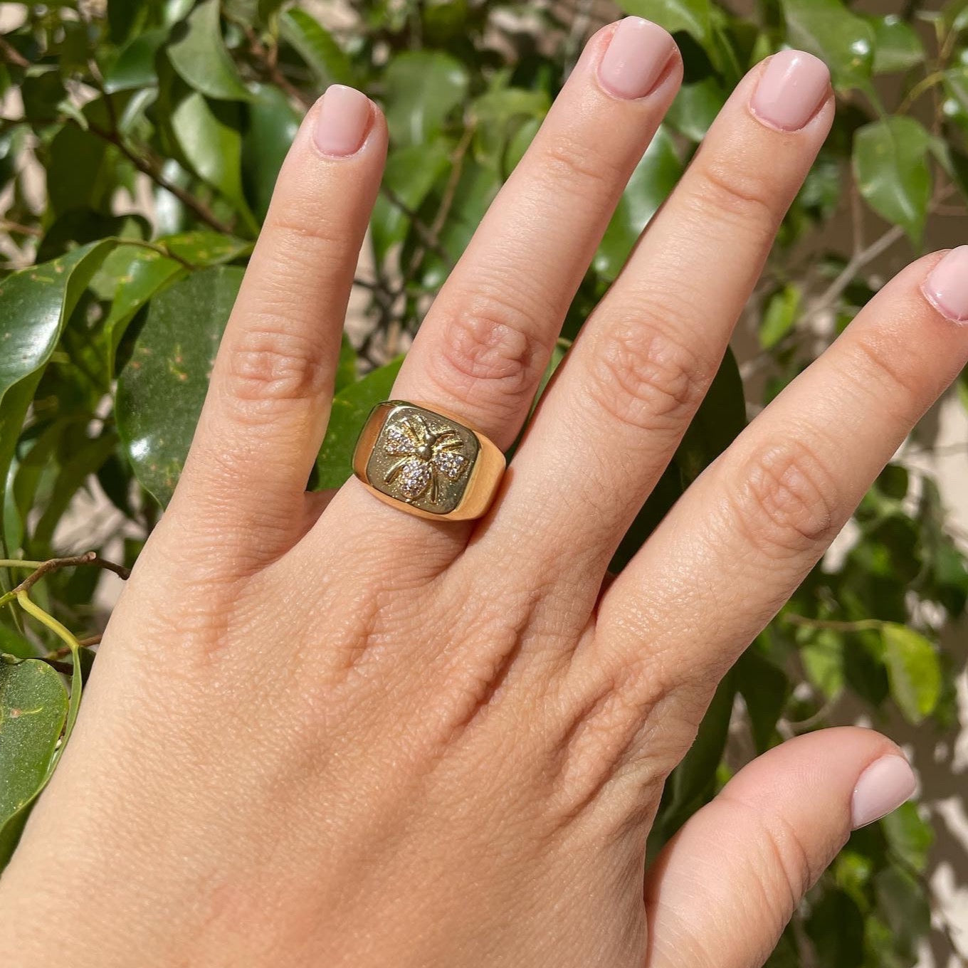 Anello ape
