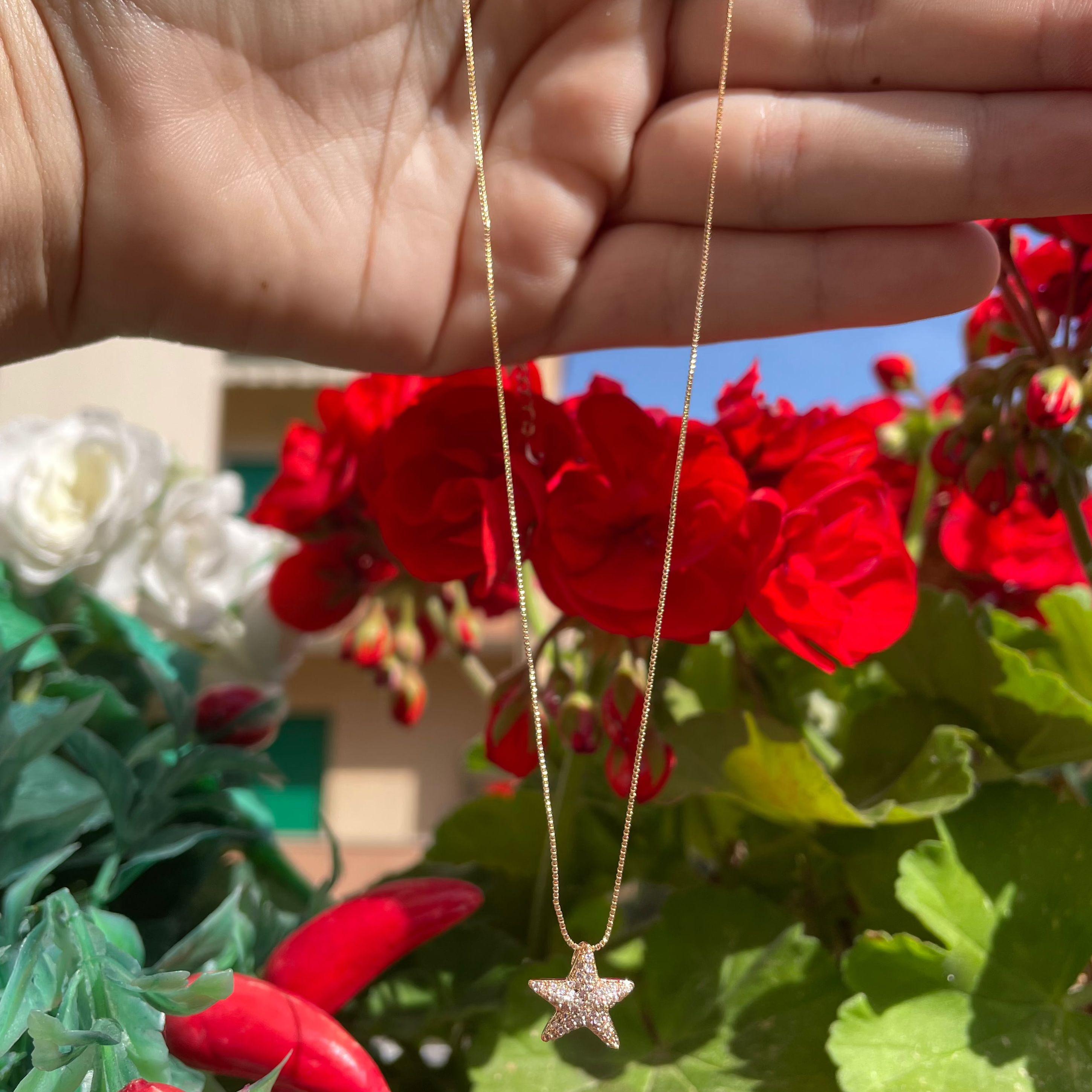 Collana con stella marina in 2 colori