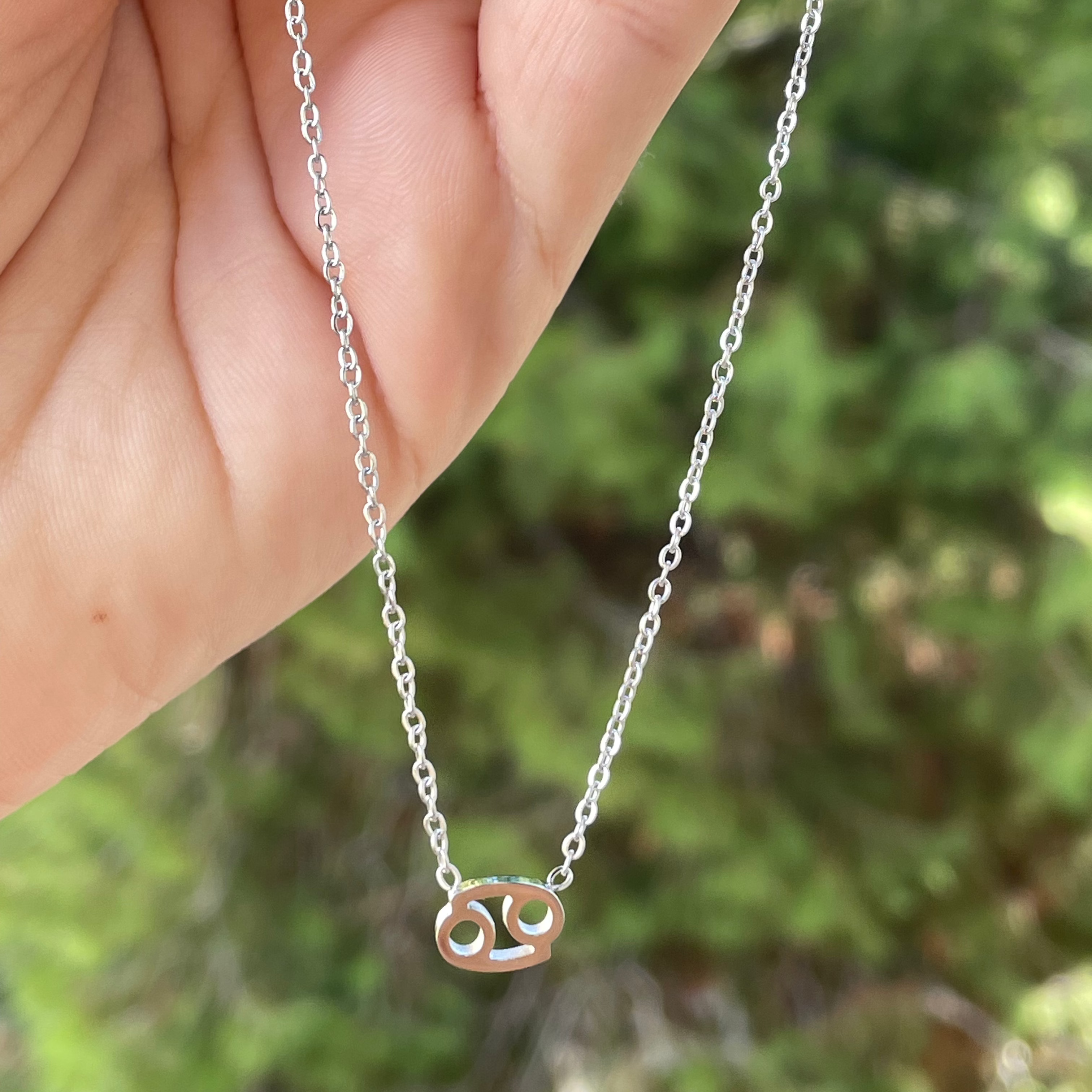 Collana con segno zodiacale in 2 colori