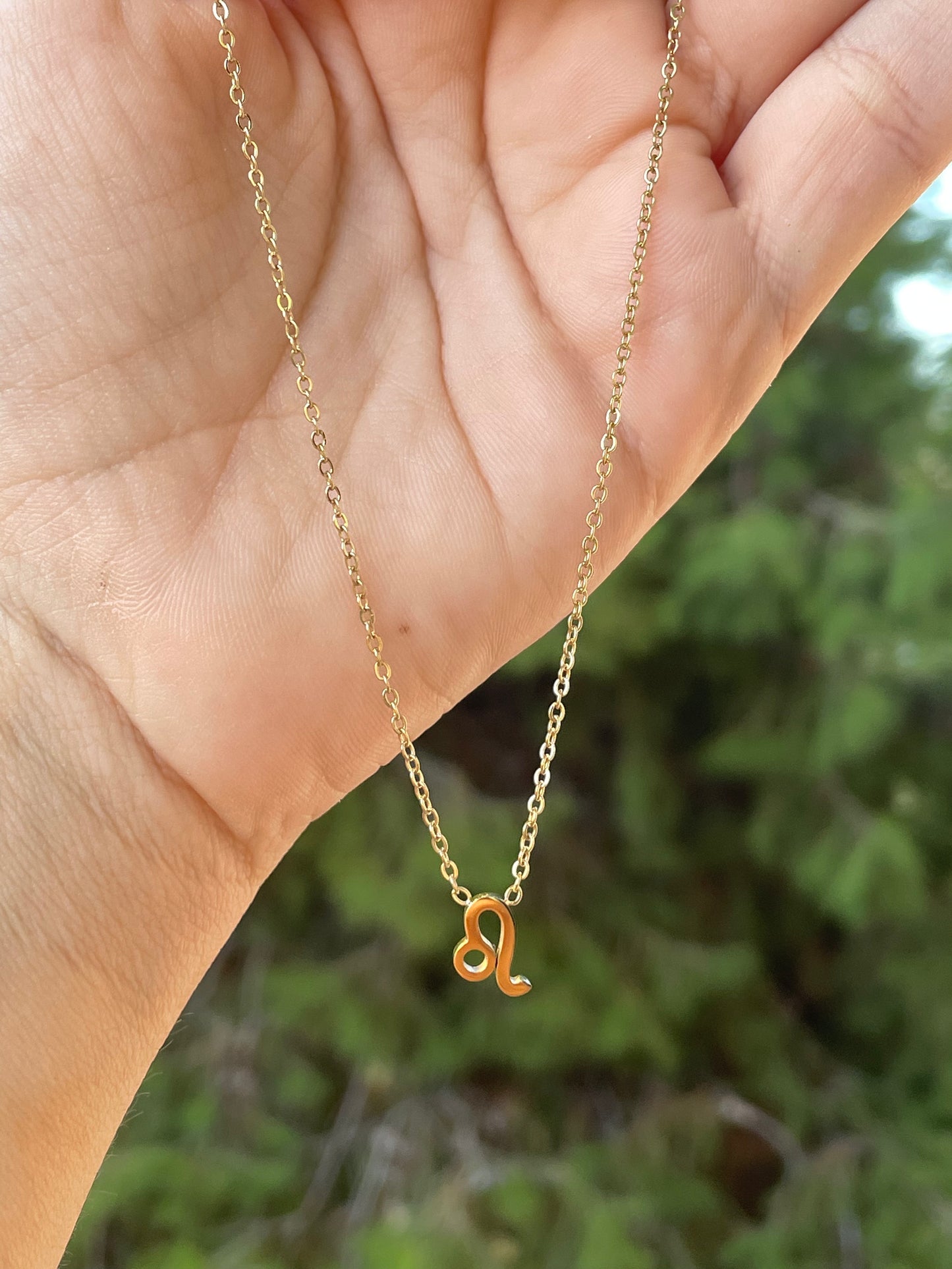 Collana con segno zodiacale in 2 colori
