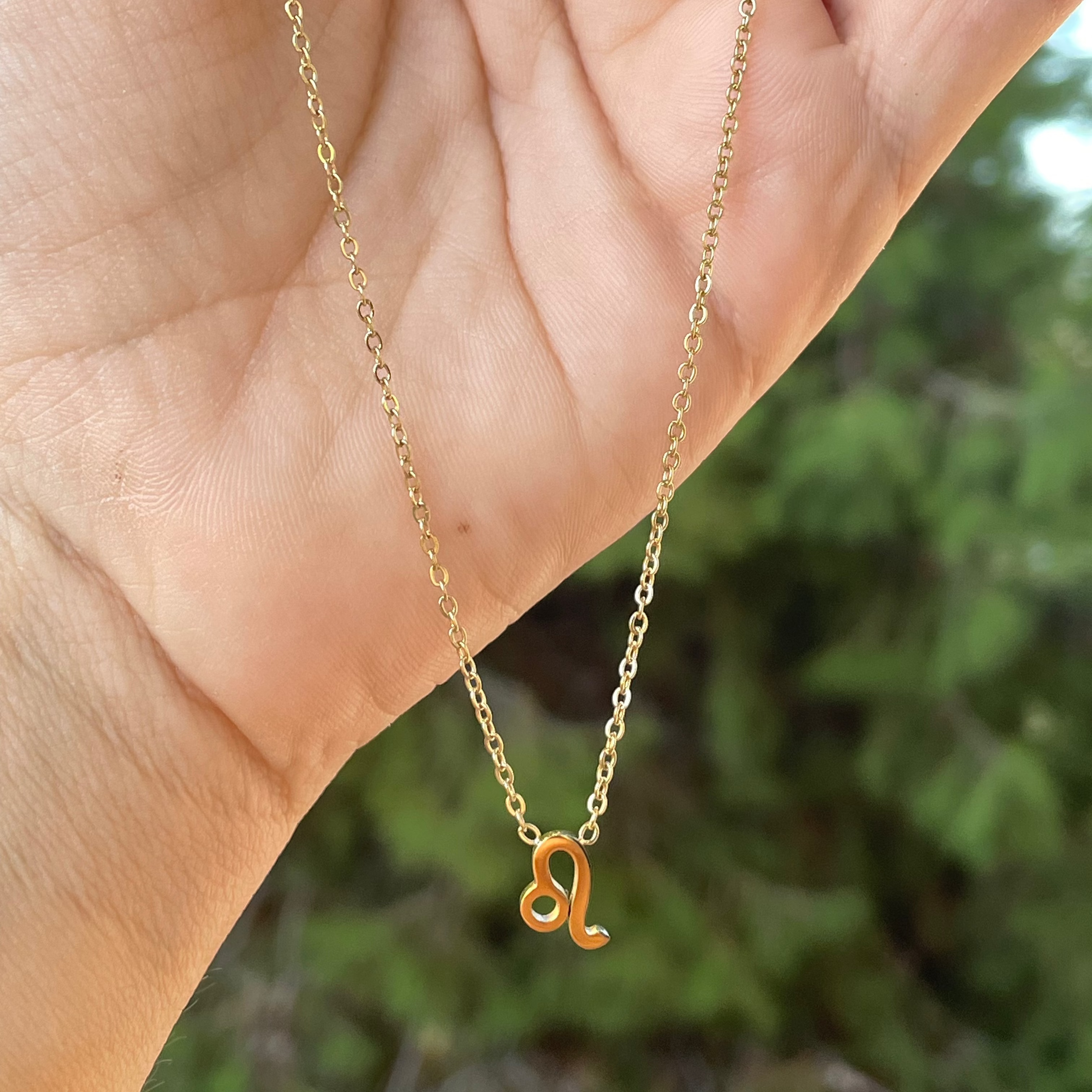 Collana con segno zodiacale in 2 colori