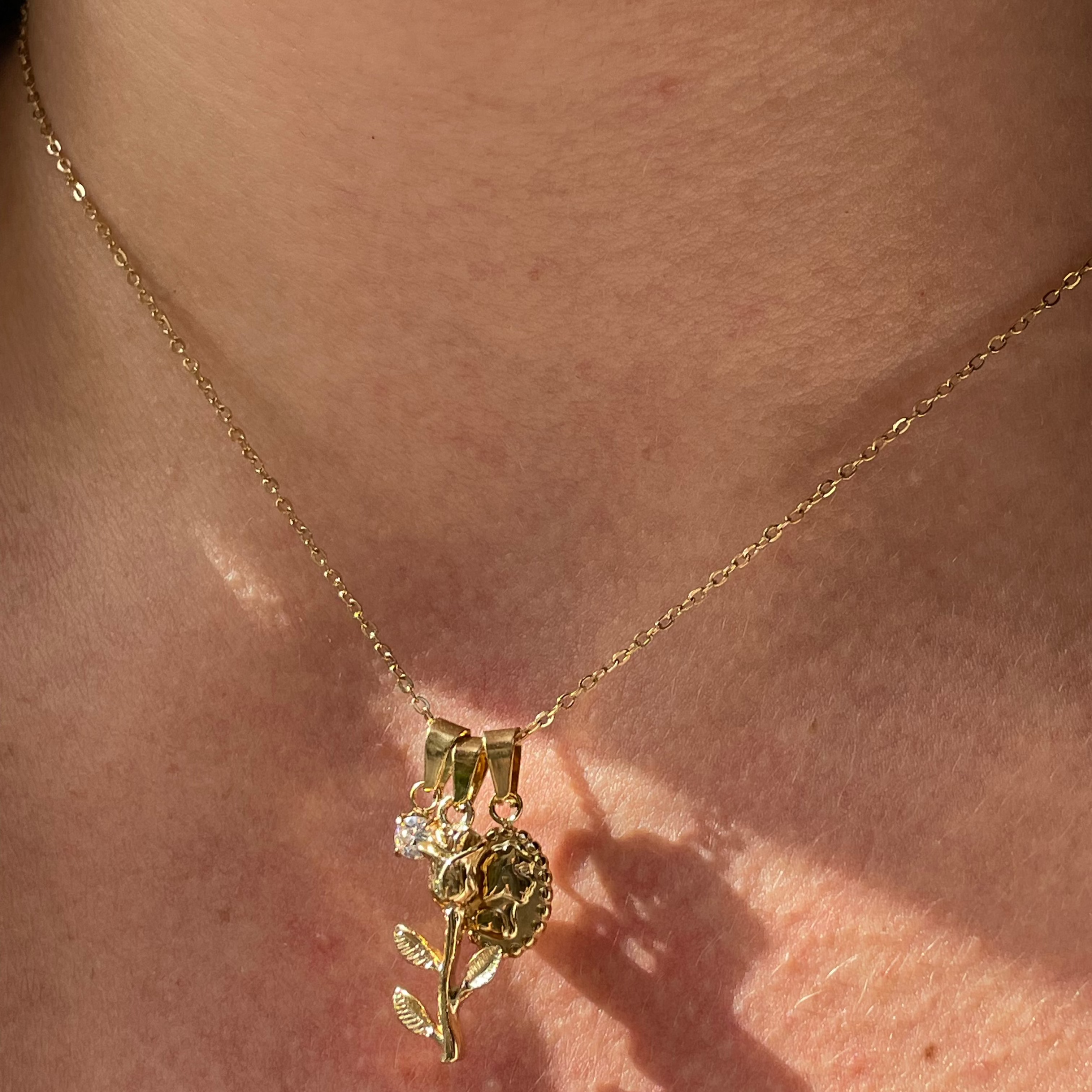 Collana rosa, punto luce e ritratto in 2 colori