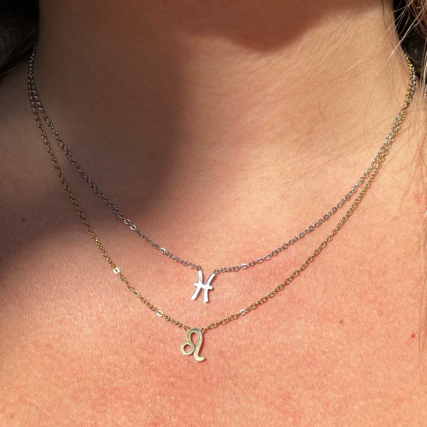 Collana con segno zodiacale in 2 colori