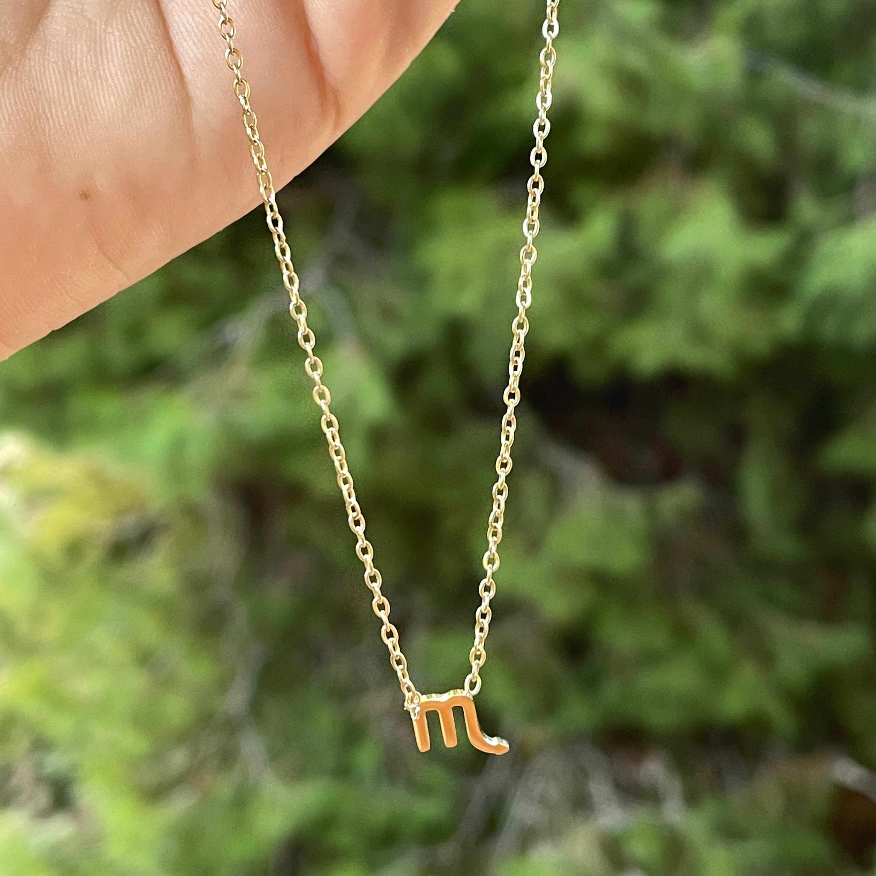 Collana con segno zodiacale in 2 colori