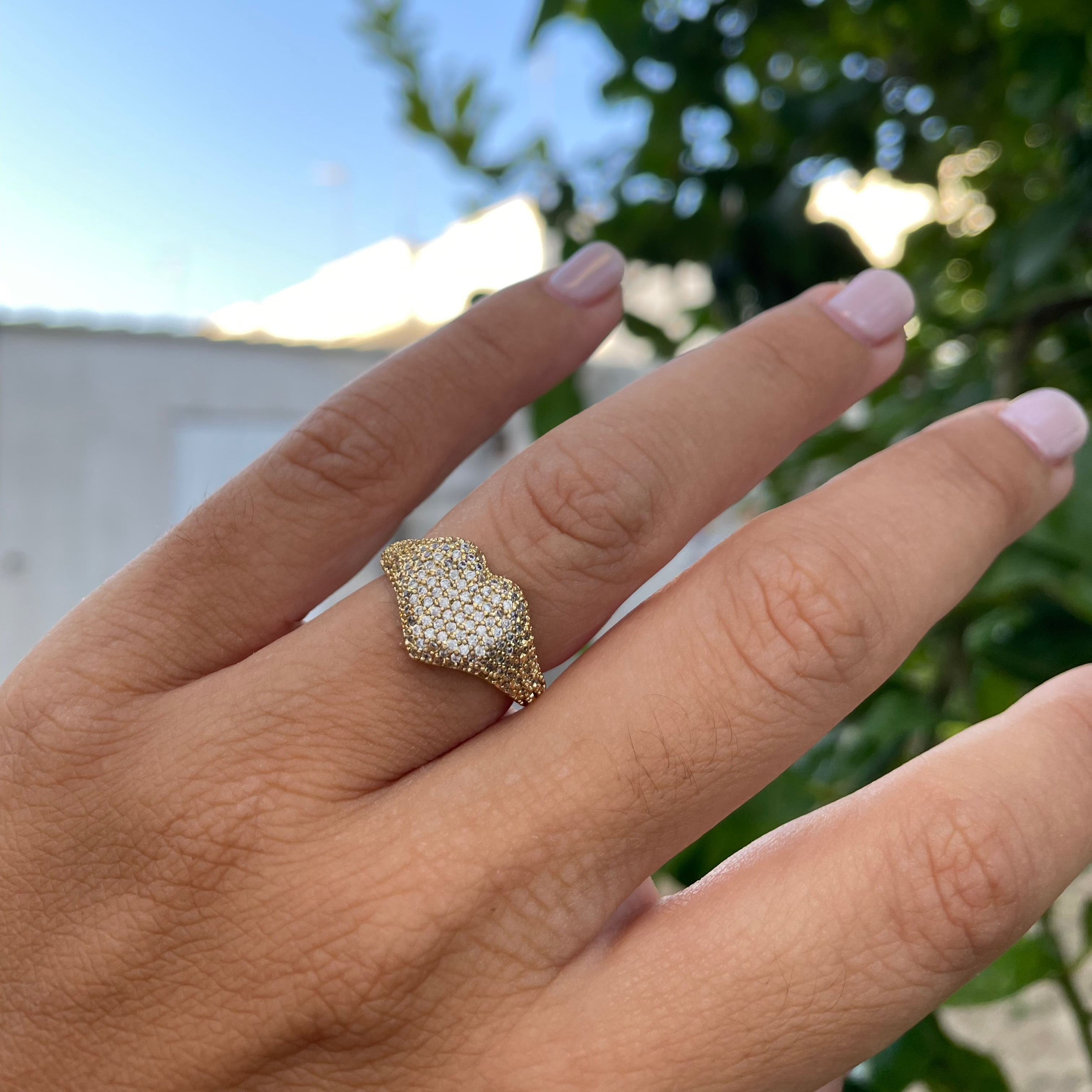 Anello cuore chevalier in 2 colori