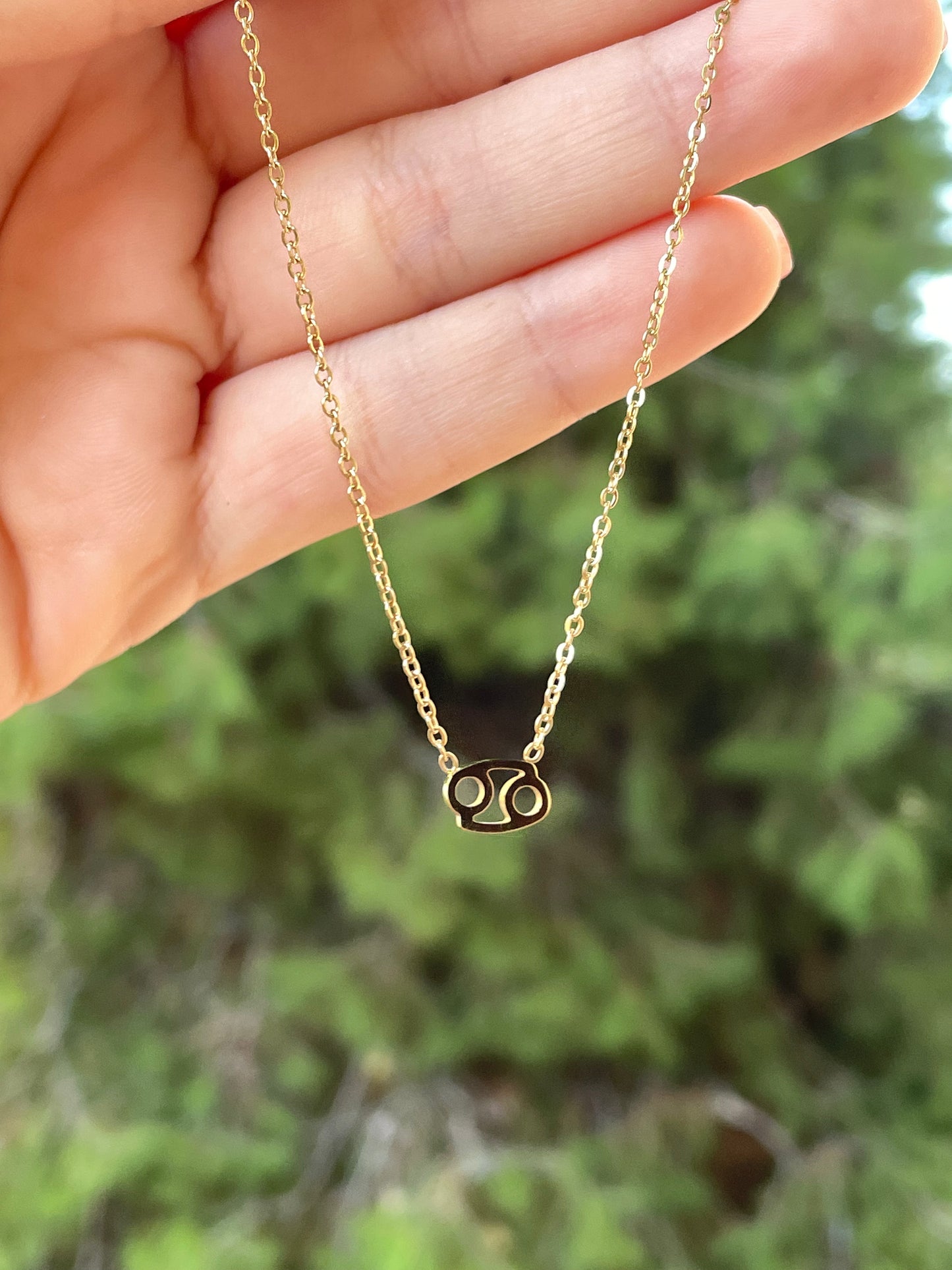 Collana con segno zodiacale in 2 colori