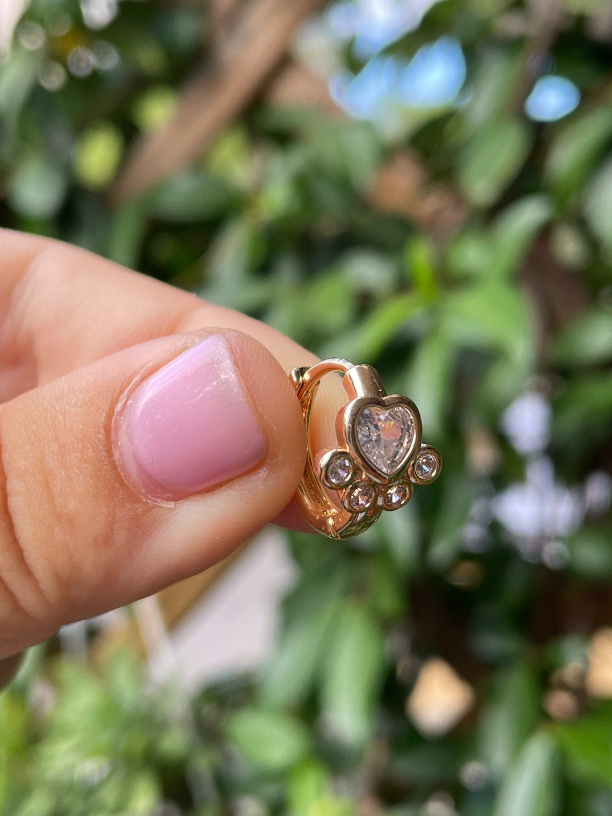 Anello con 2025 zampa cane