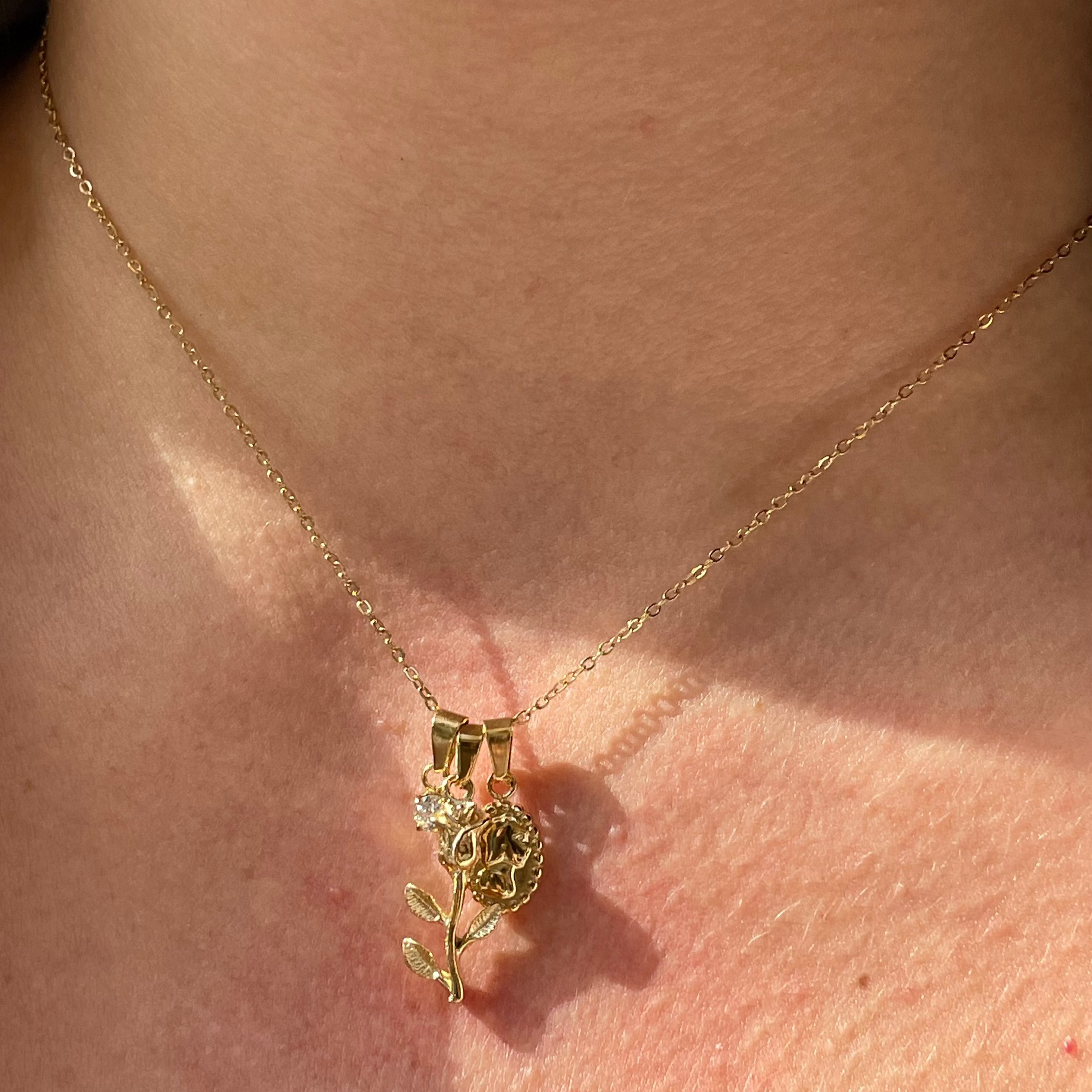 Collana rosa, punto luce e ritratto in 2 colori