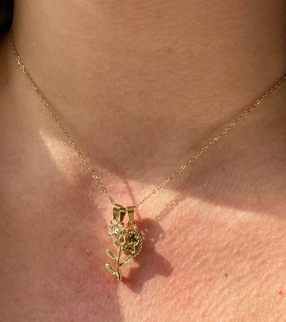 Collana rosa, punto luce e ritratto in 2 colori