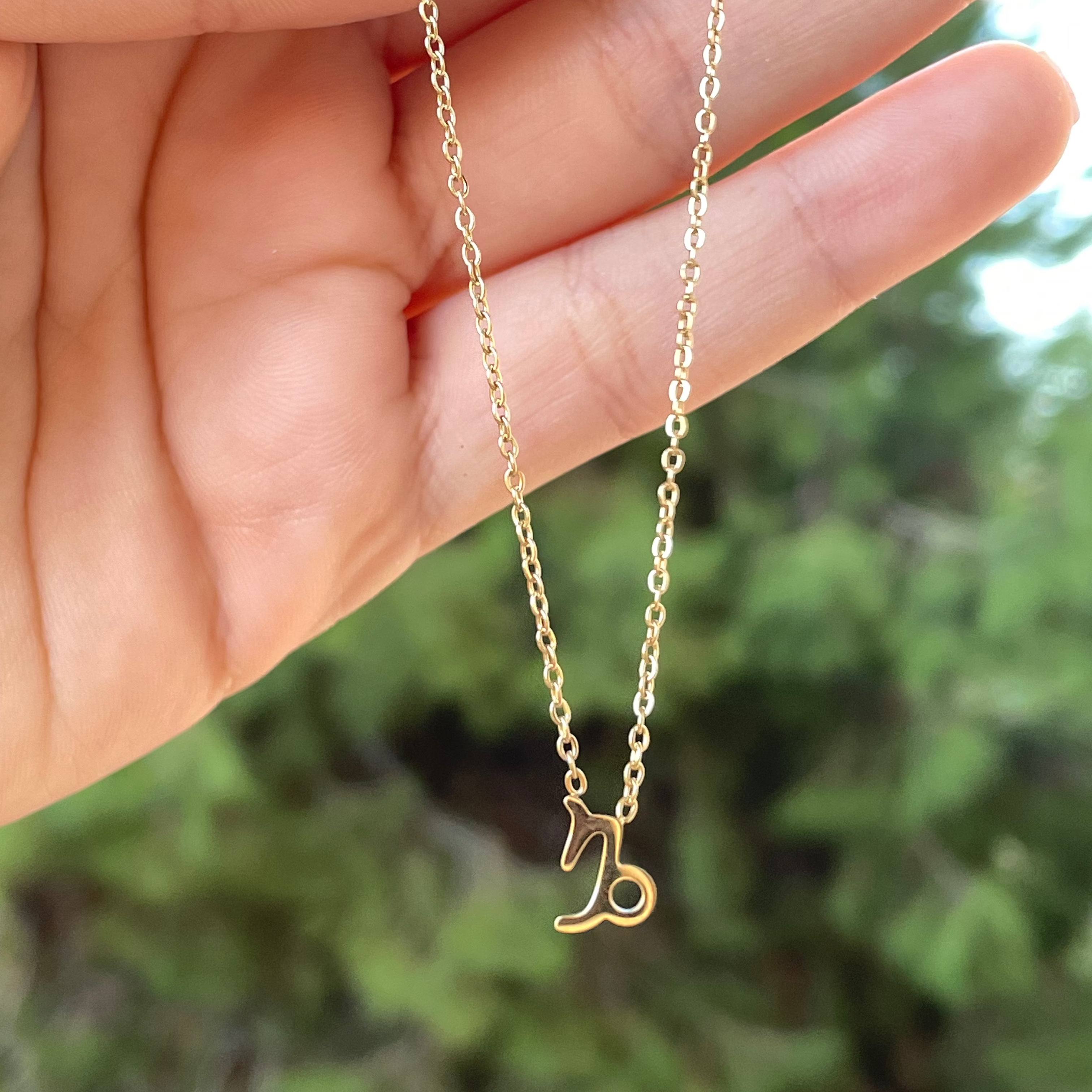 Collana con segno zodiacale in 2 colori