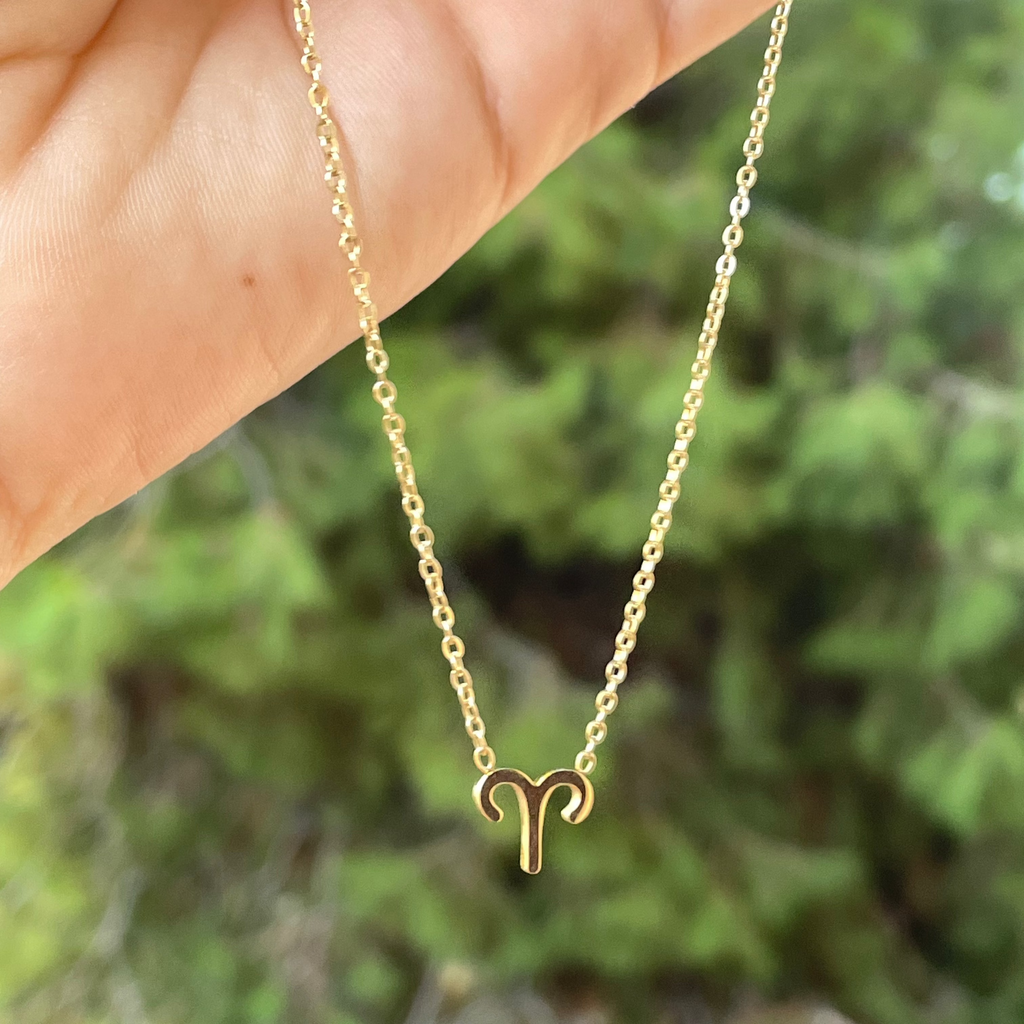 Collana con segno zodiacale in 2 colori