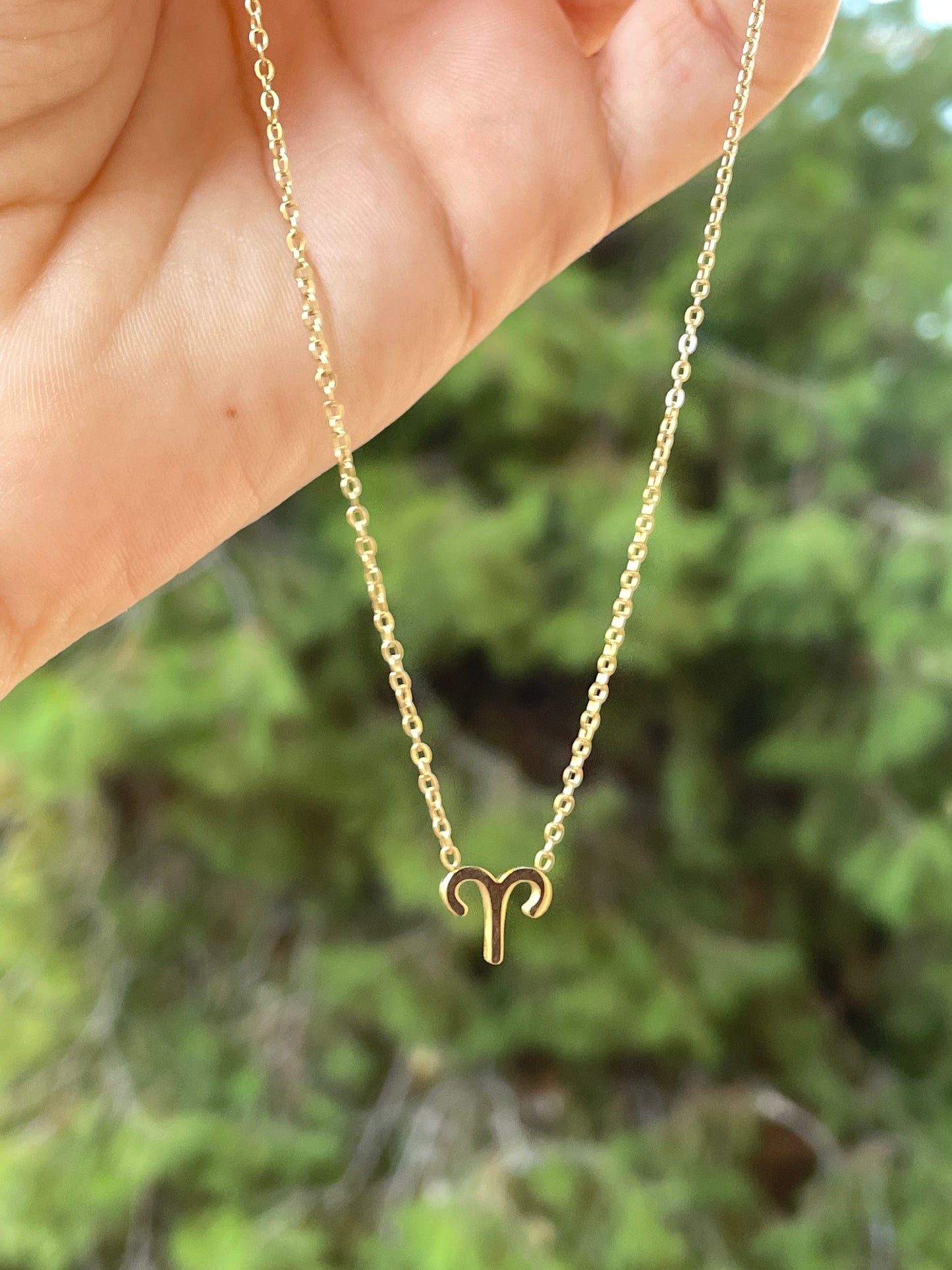 Collana con segno zodiacale in 2 colori