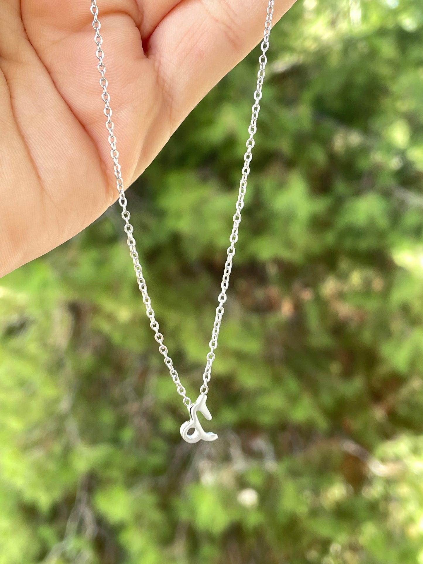Collana con segno zodiacale in 2 colori