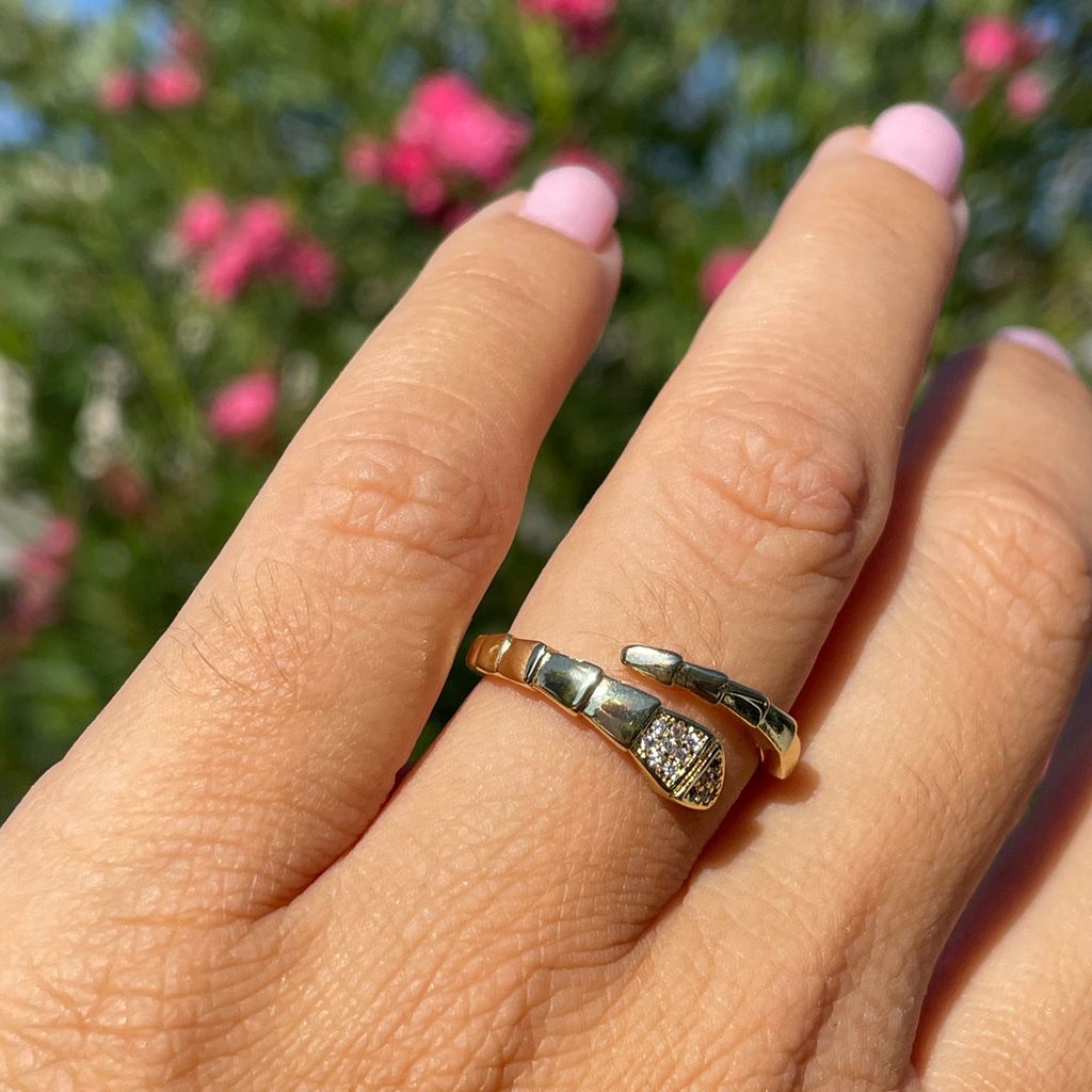 Anello serpente
