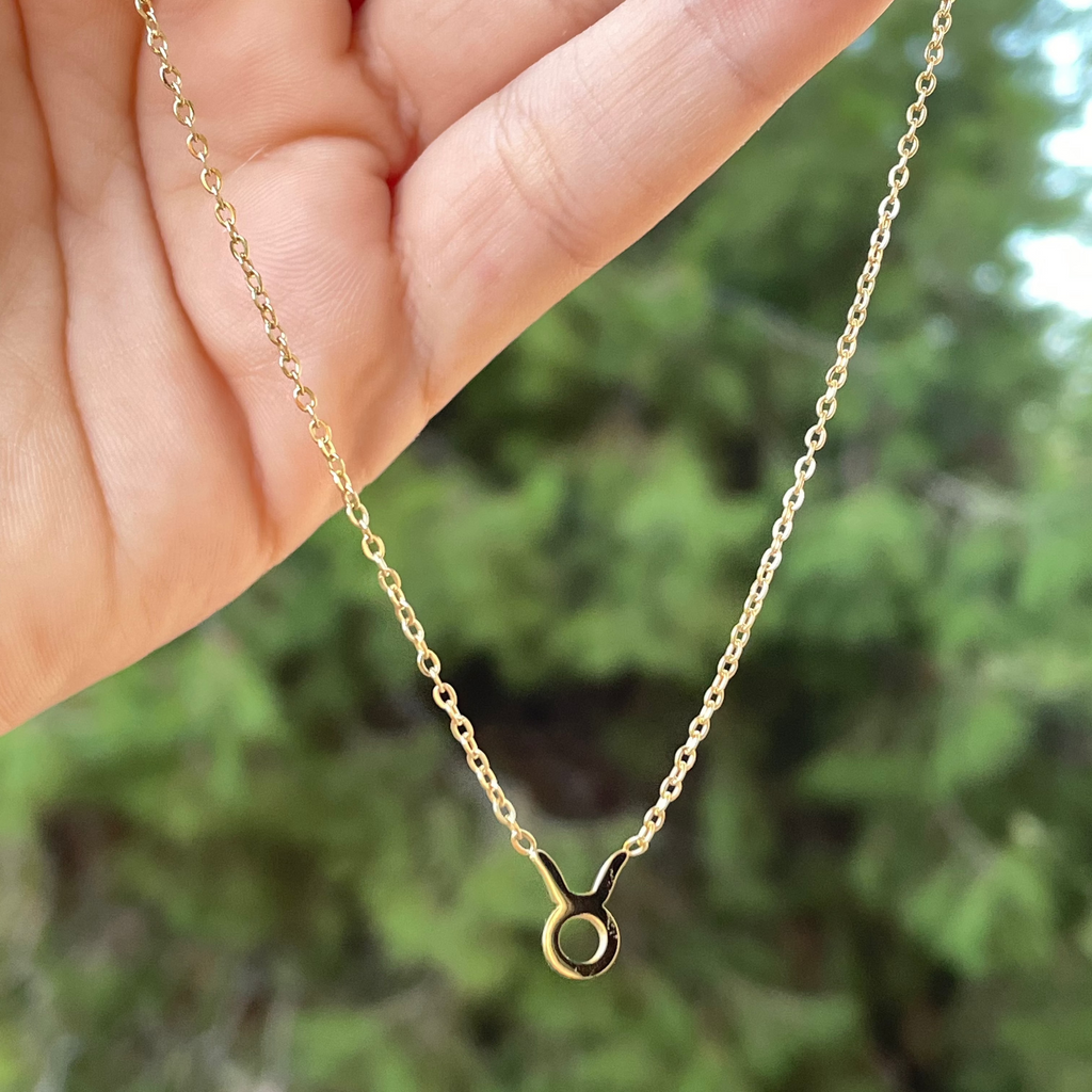 Collana con segno zodiacale in 2 colori